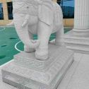 漳州 白麻花岗岩动物异形石雕-大象