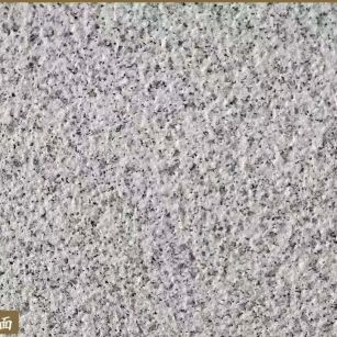 漳州白麻荔枝面