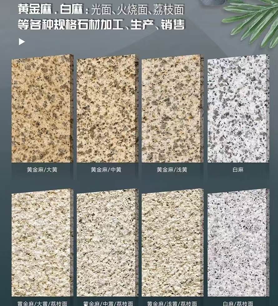 漳州 黄金麻白麻样品展示