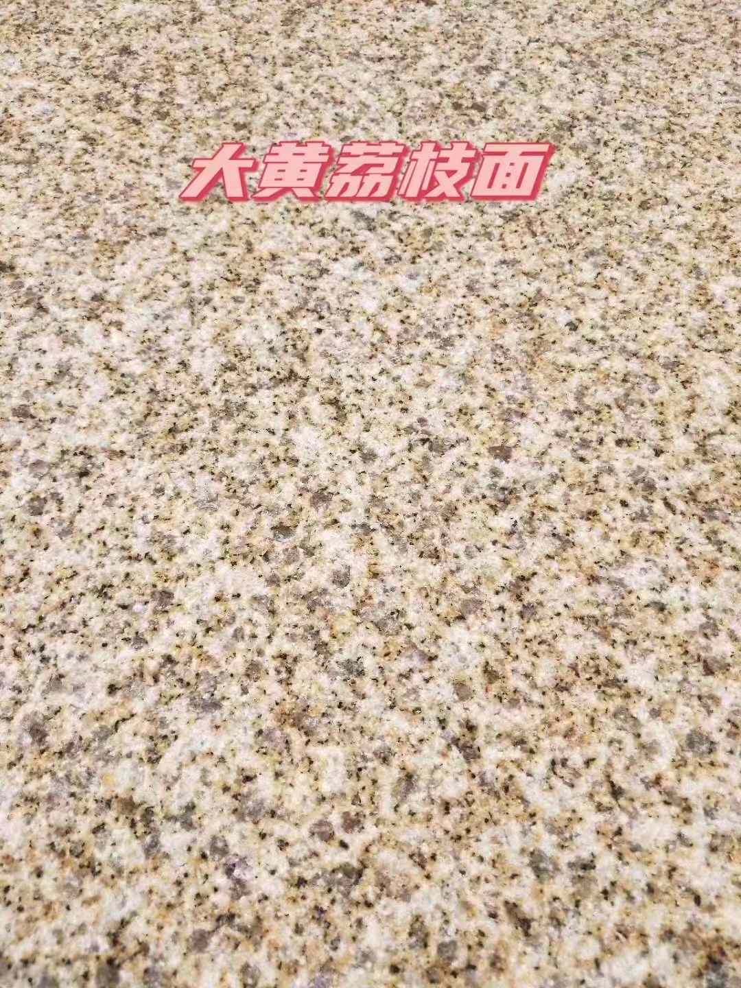漳州黄金麻大黄荔枝面