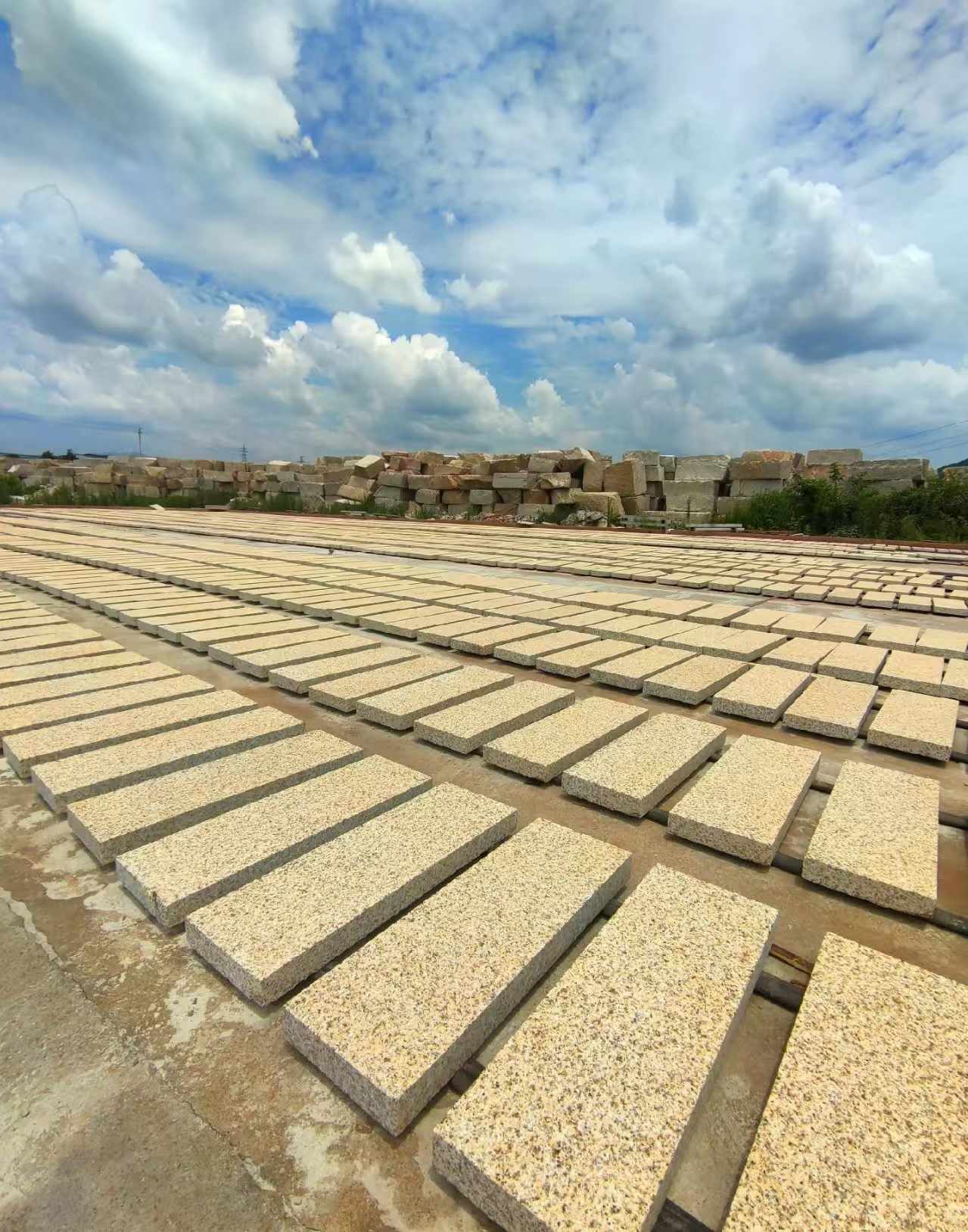 漳州 黄金麻荔枝面花岗岩石材地铺石防护中