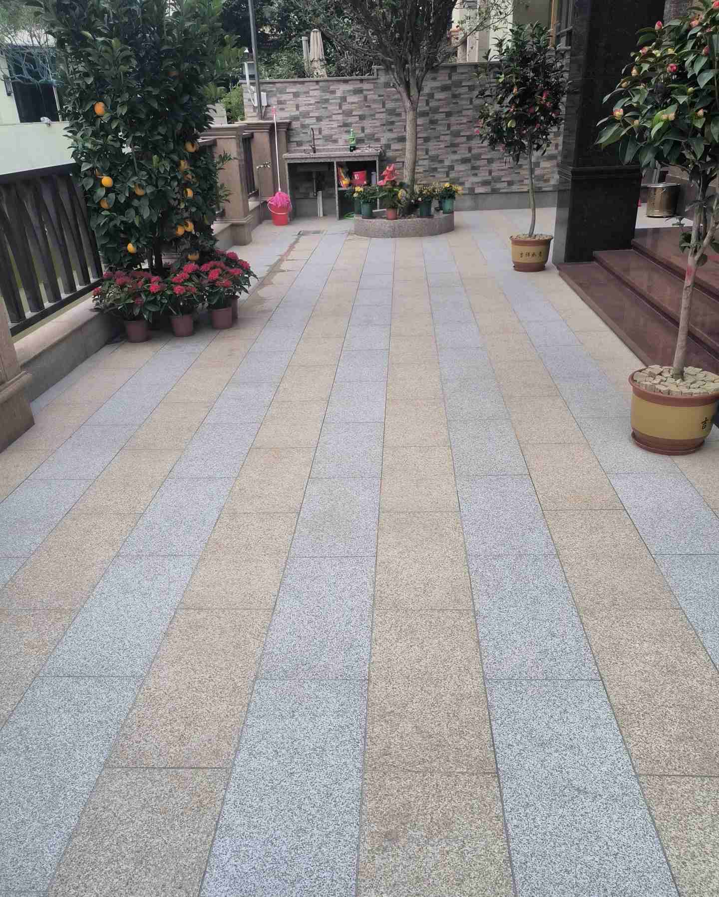 漳州 黄金麻白麻荔枝面庭院铺装展示